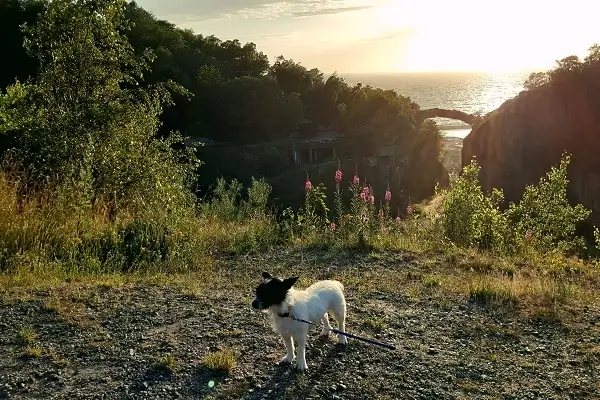 Kamieniołom Ringebakkerne koło Vang na Bornholmie