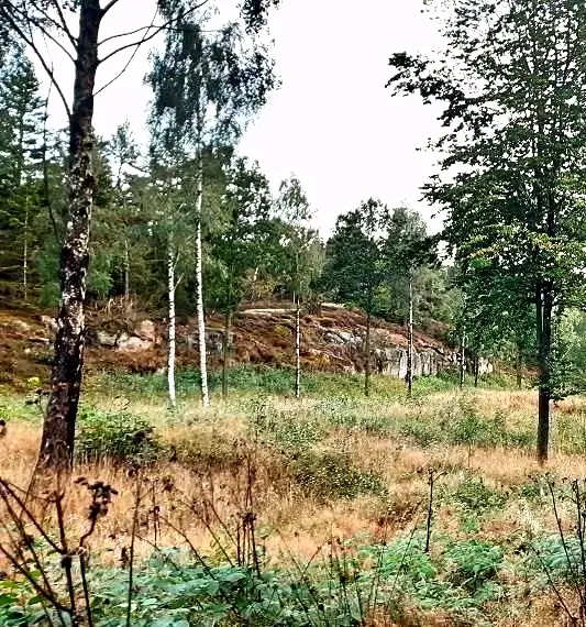 Szlaki Turystyczne w Paradisbakkerne